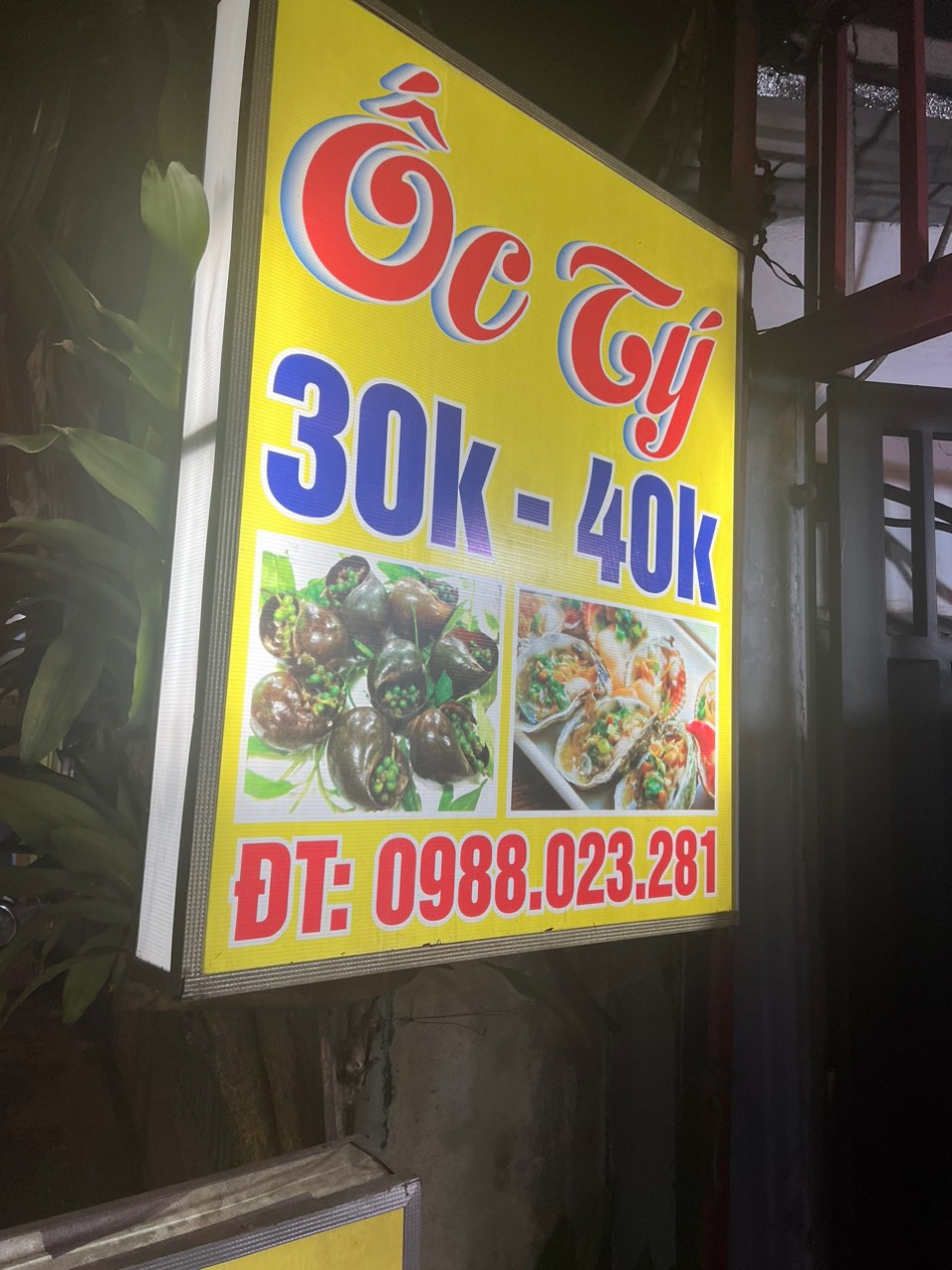 Ốc Tý - Quang Trung